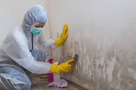 Best Forensic Mold Investigation  in Powdersville, SC